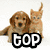 A four- of pixelated animal images with overlaid text: top-left dog and cat, top-right two cats, bottom-left close-up dog, all on solid backgrounds