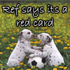 Two Dalmatian puppies interact in a grassy field with yellow flowers, positioned above a black-and-white soccer ball, under text reading "Ref says its a red card".