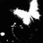 Black-and-white pixelated image of a white bird in flight against black background with text fragments on separate