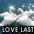 Two white swans form a heart shape with their necks on blue water, accompanied by text reading 'LOVE LAST', 'LONGER', and 'THAN SUMMER' in black boxes.