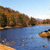 Pixelated landscape showing a body of water with a rocky shoreline, trees on a hillside, and a light blue sky with faint clouds.