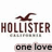 Pixelated static image featuring a brown seagull above bold brown text reading 'HOLLISTER' with smaller gray text below, and partial black text 'one love' at the bottom.