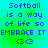 Pixelated text on a gradient background reads "Softball is a way of life so EMBRACE IT (3)" with blue letters and green-to-cyan transition.