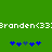Green background with white text 'Branden(33' repeated horizontally, blue and dark blue star-like symbols arranged in two groups below.