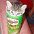 A cat with tabby markings peeks from a green and white striped container, first without text then displaying "Shhh" in light blue and "im hidin" in teal.