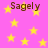 Pink background with yellow stars and brown text reading "Sagely" repeated across the image.