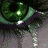 Green eyes with white highlights and dark pupils, overlaid with green text reading 'I guess some things happen for a reason.'