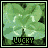 Pixelated green four-leaf clover with white highlights and black text reading LUCKY at the bottom, displayed in a of six identical