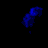 Animated contact sheet of blue abstract shapes with scattered white text fragments on black background, sampled from a 60-frame animation.