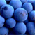 Food icons for AIM, MSN, MySpace and Yahoo