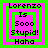 Pixelated text reads "Lorenzo Is Sooo Stupid! Haha" in black on pink, surrounded by green squares; background alternates between solid green and solid pink.