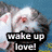 A four- with a cat, sun, and eye image each paired with text overlays