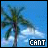 Animated sequence of palm tree against blue sky with white clouds, text changes from 'CANT' to 'WAIT' to 'TILL' to 'SUMMER' across frames.