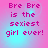 Pixelated text on a pink and cyan gradient background with four identical displaying the phrase 'Bre Bre is the sexiest girl ever!' in magenta