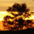 A pixelated image of a large, dark brown object with multiple rounded sections against a gradient background transitioning from yellow to orange.