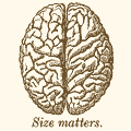 Static pixel art illustration of a human brain with text below it on a light background.