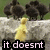 Animated sequence showing a yellow duckling walking left to right across stone steps with black birds in the background, text overlays reading "it doesrt matter who you are.".