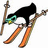 Pixelated penguin on skis with ski poles, orange skis angled downward against white background, blue text 'ski' and 'for LIFE!!!'