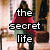 A pixelated image of a person in red and green clothing with overlaid text reading "the secret life of an american teenager".