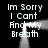 Black background with white pixelated text repeating 'Im Sorry I Cant And My Breath' in four quadrants, animated smoke-like effect moves across the image.