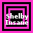 Four square display 'Shelby Insane' text with pink and black layered borders, each showing distinct border configurations