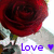A pixelated red rose with green leaves and white flowers, overlaid with purple text reading 'love' and a purple heart symbol.