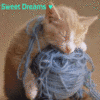A pixelated cat with light brown fur rests its head on a blue knitted item against a beige background, with cyan text reading "Sweet Dreams" at the top.