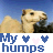 A four- shows a camel's head against blue sky and sand dunes, with text reading "My humps" below each