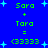 Blue background with green pixelated text and light blue stars, showing repeated 'Sara + Tara = <33333' equations in two