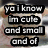 A static image of a small dog wearing a light-colored sweater with text overlays in black rectangular boxes.