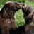 A pixelated image shows a brown dog with a green object in its mouth, accompanied by red text reading "Becca says... this is what will happen, if you go on a raid!"