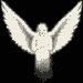 Four of a white winged figure against black background showing wing and arm position changes