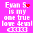 Pixelated text on bright pink background with animated red heart and star effects near 'Evan S.'
