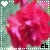 A pixelated flower with pink and red petals, a teal background, and a heart symbol in the top corner.