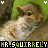 A pixelated animated icon shows a light brown squirrel with green ears and white chest, its head turning from left to right