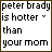A 5x5 contact sheet of animated frames showing a text-based icon with changing punctuation and color variations on the phrase "peter brady is hotter than your mom".