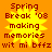 A static pixel art image with orange background and yellow starburst, displaying text about Spring Break '08 memories.