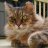 A pixelated close-up of a light brown cat with darker stripes, resting its head on a white surface against a blurred background.