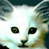 A 2x2 contact sheet of a pixelated white cat animation with text "CoolBuddy.com" on the top-right frame, showing two nearly identical frames of the cat's face and one empty gray frame.