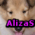 A four- shows a dog with light brown and white fur, pink tongue, and dark eyes; text overlays read "AlizaS Loves Rough Collies!!" in purple pixelated font