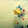 A static image of a white rubber duck with a yellow beak, covered in multicolored circular and square patterns, positioned against a light background.