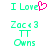 Green pixelated text "I Love" with a pink heart symbol, followed by "Zac Efron TT Owns" in green pixelated text on a white background.