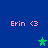 Blue background with four instances of pink text 'Erin <3' and three green star icons in different positions.