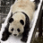 Pixelated image of a panda's face with black and white fur, dark eyes, nose, ears, and limbs against a blurred background.