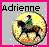 Pixelated icon with pink border, gray background, yellow circular glow, and black text reading 'Adrienne' above a stylized figure.