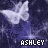 white butterflies on a dark purple background with the text "ASHLEY" repeated across multiple
