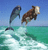 Pixelated static image of two dolphins leaping from turquoise water against a blue sky background, rendered in low-resolution 256x256 pixels with visible dithering and blocky artifacts.