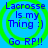 Four identical blue circular icons with green concentric rings, each displaying text about lacrosse and 'Go RP!!' in pixelated font.