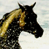Animated contact sheet showing a horse icon with two frames of motion and a static text logo on blue background.