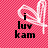 Pixelated icon with pink checkered background, white heart outline, and black text reading 'i luv kam' on left and 'alot' repeated three times on right.